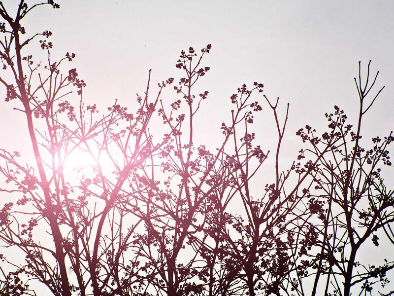 community screenshot 3