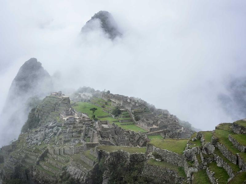 sudoku team challenge screenshot 1