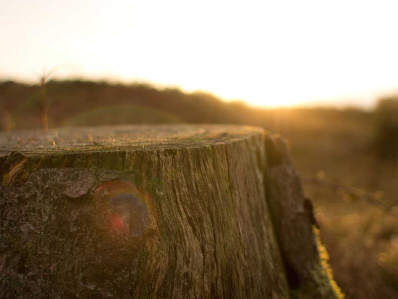 sudoku team challenge