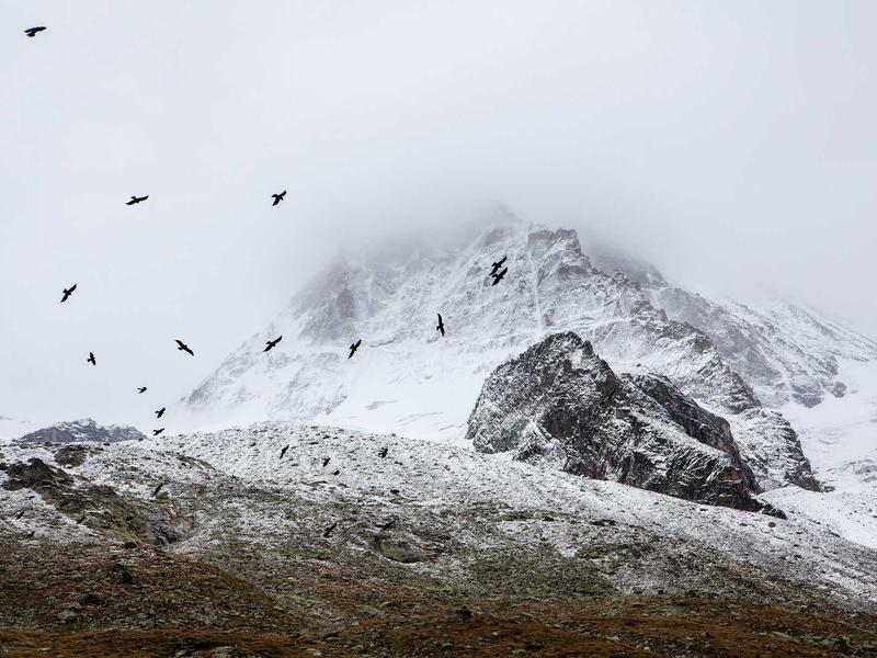 sudoku team challenge screenshot 4